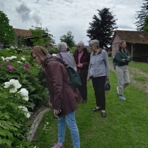 Landfrauen Uesslingen(40)