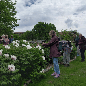 Landfrauen Uesslingen(44)