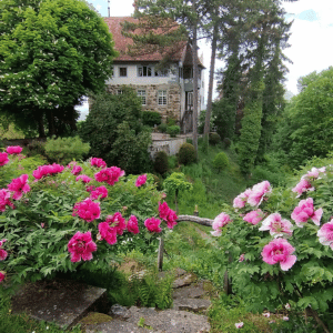 Landfrauen Uesslingen(45)