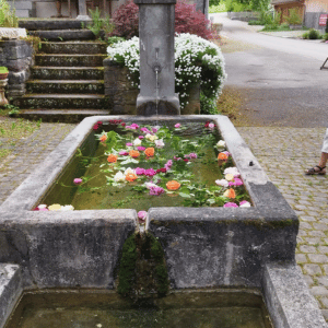 Landfrauen Uesslingen(49)
